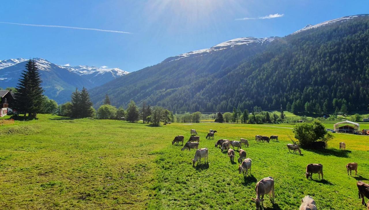 Chalet Breithorn- Perfect For Holiday With Amazing View! Obergesteln المظهر الخارجي الصورة